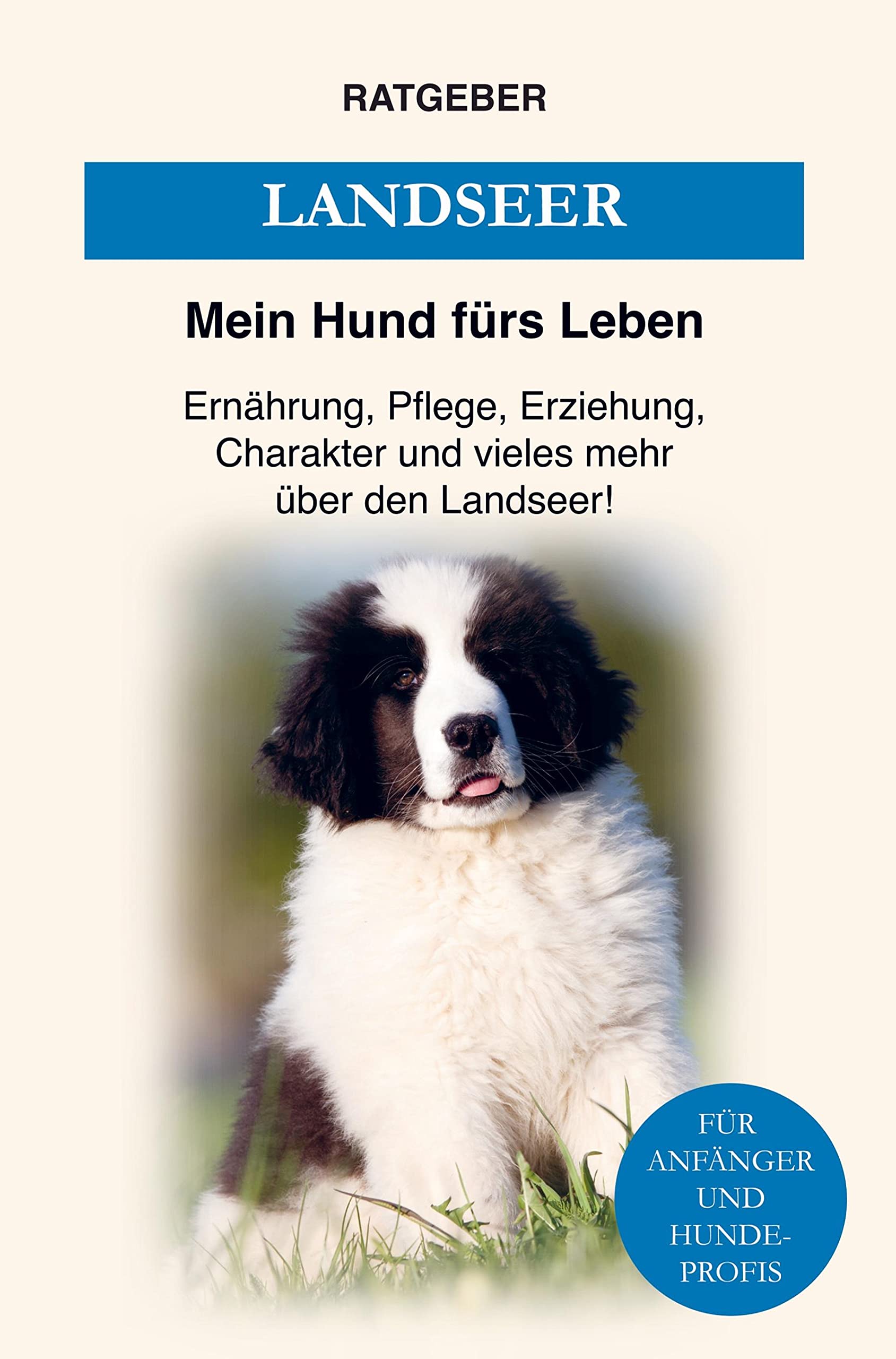 Landseer: Pflege, Erziehung, Charakter, Ernährung und einiges mehr über den Landseer Hund Pets