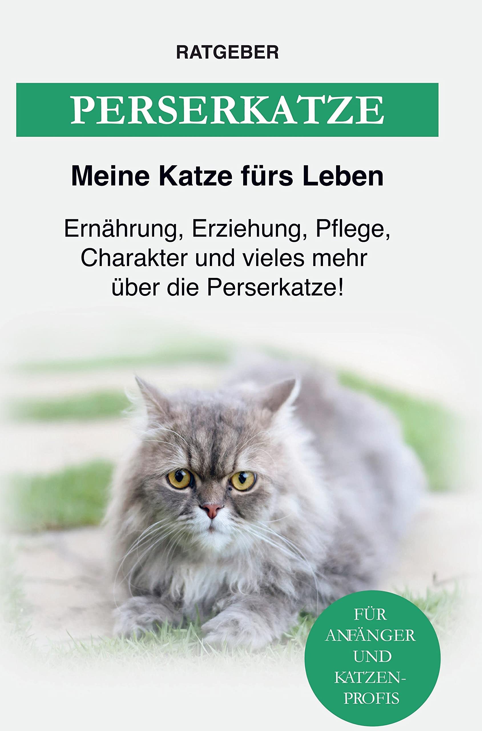 Perserkatze Pets