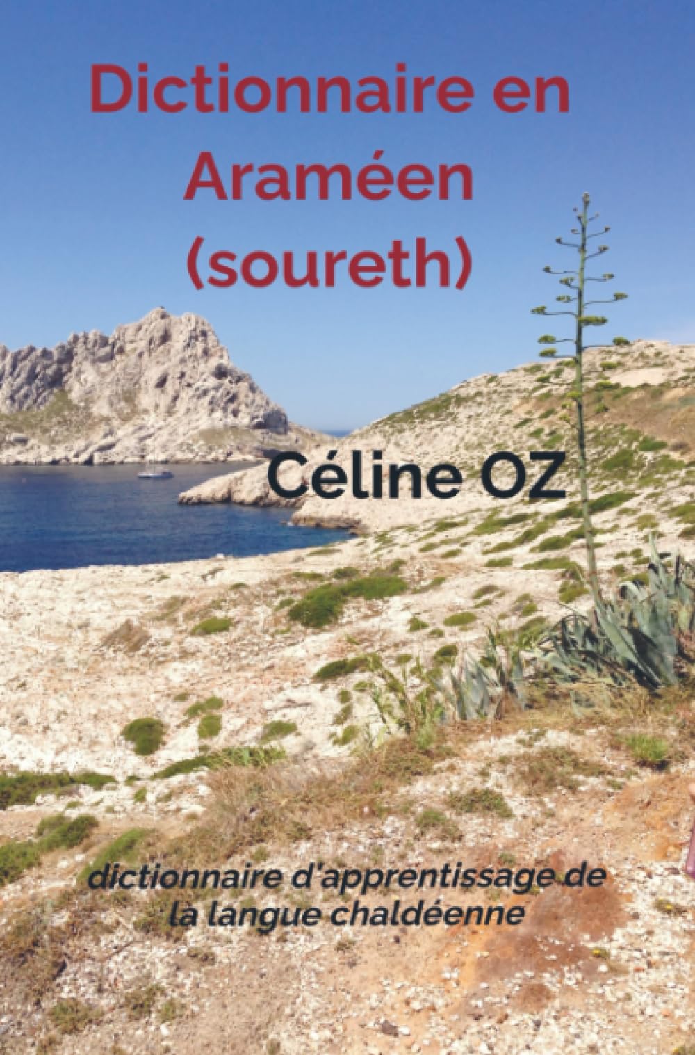 Dictionnaire en Araméen (soureth): dictionnaire d'apprentissage de la langue chaldéenne Books