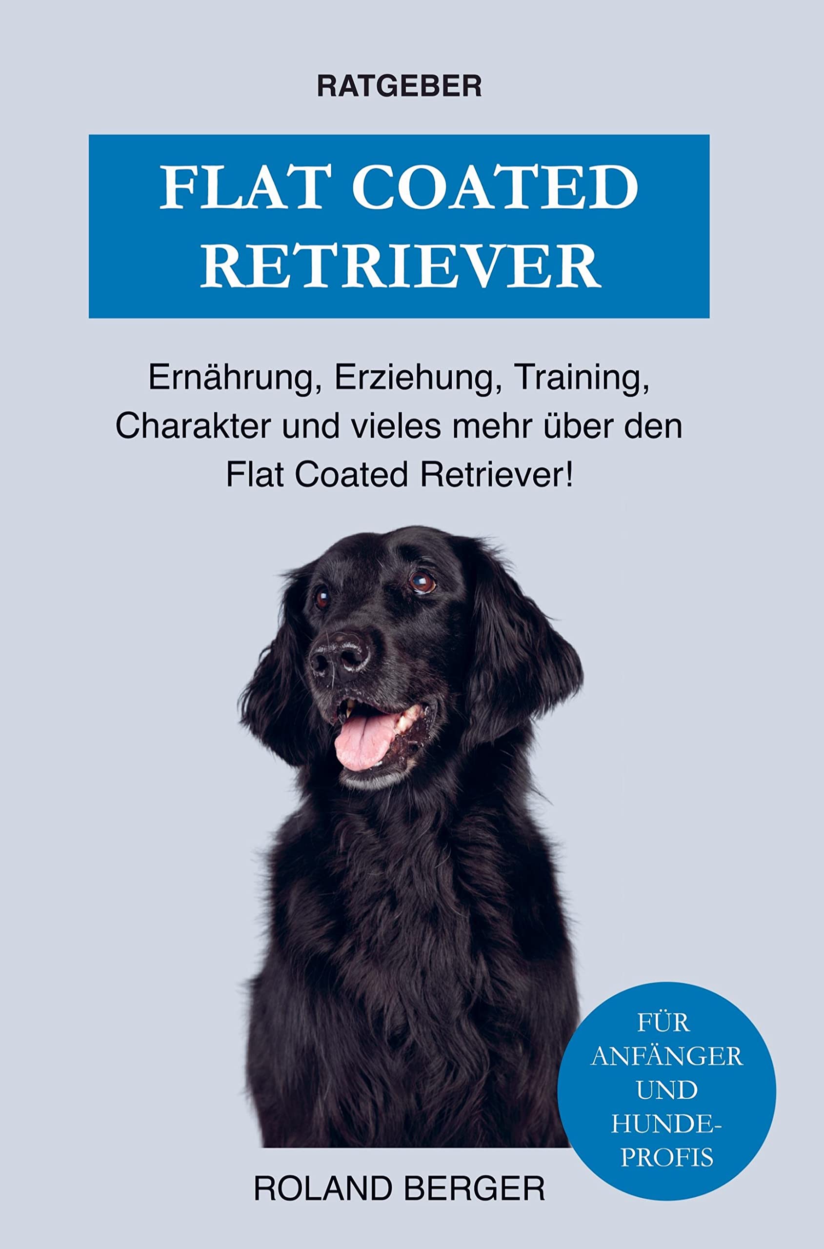Flat Coated Retriever: Ernährung, Charakter, Erziehung, Training und einiges mehr über den Flat Coated Retriever Pets
