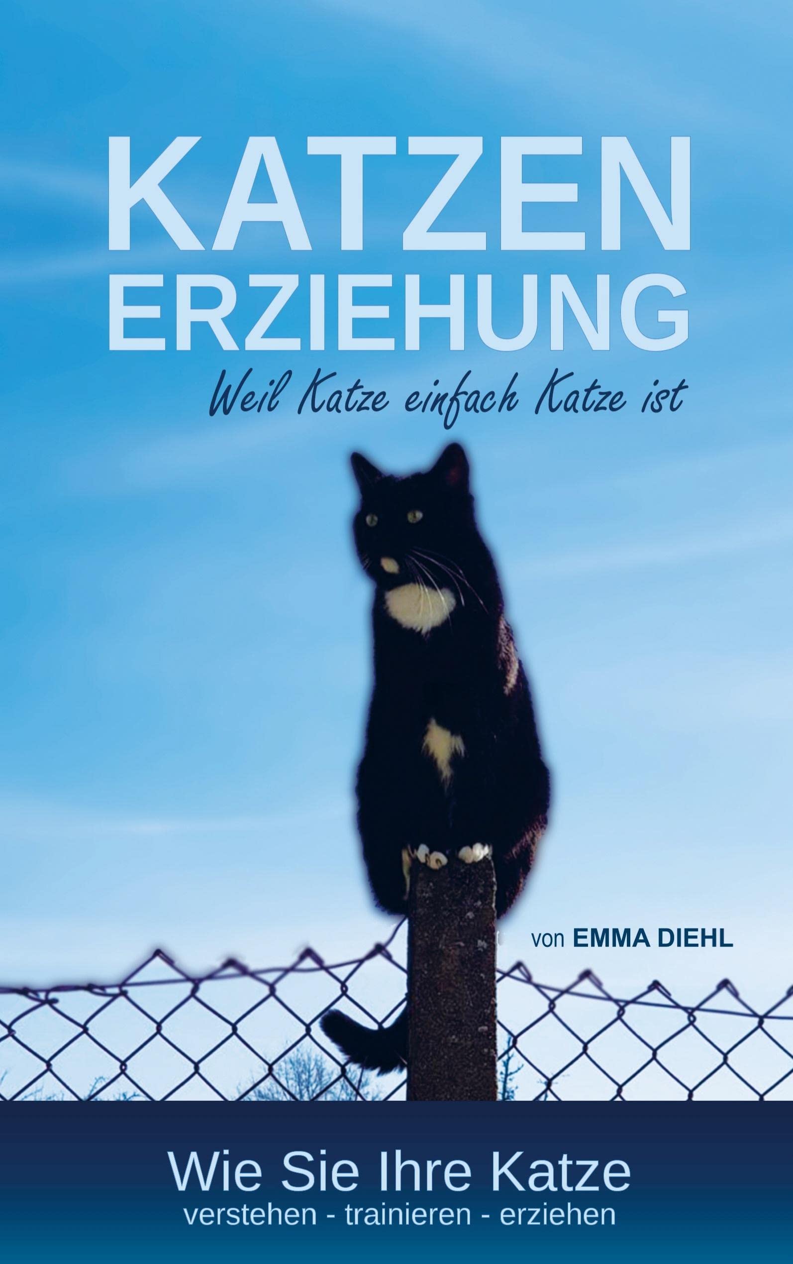 Katzenerziehung weil Katze einfach Katze ist Pets