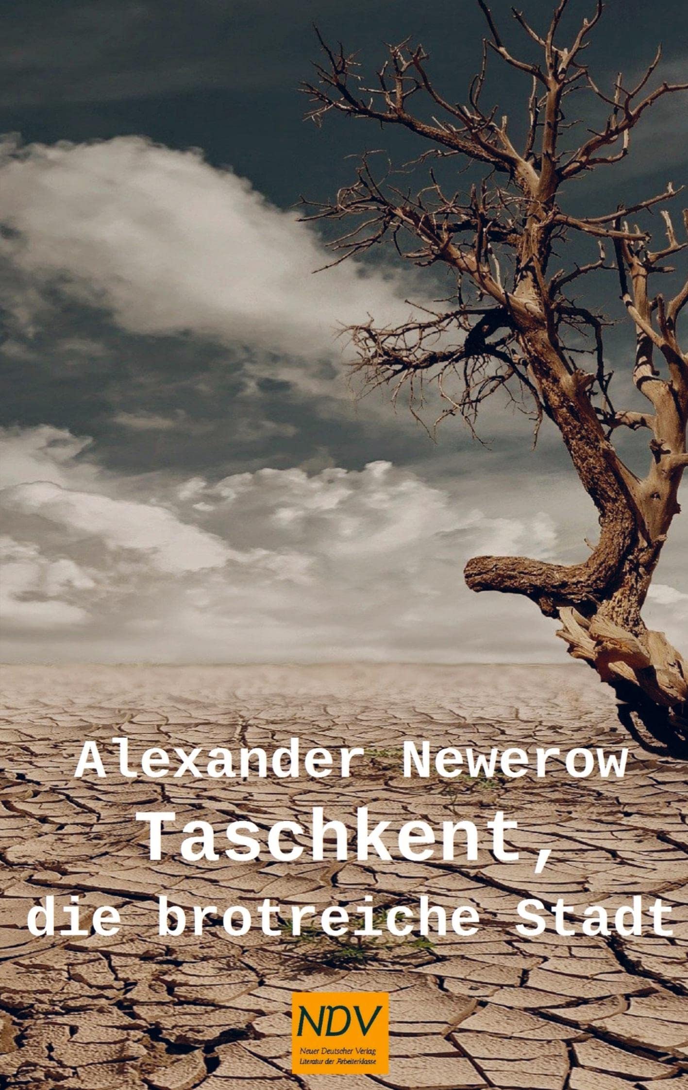 Taschkent, die brotreiche Stadt Contemporary literature