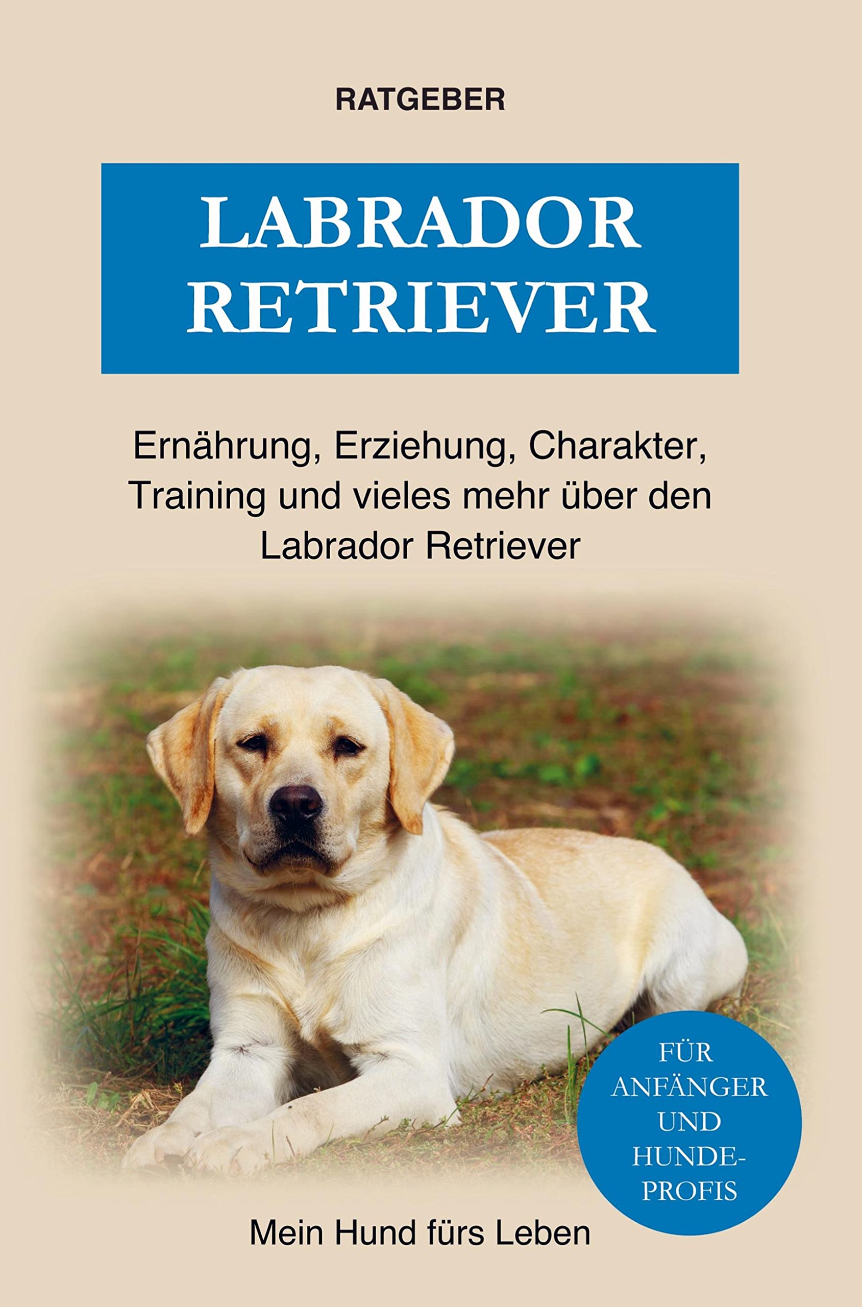 Labrador Retriever: Erziehung, Charakter, Ernährung, Training und einiges mehr über den Labrador Retriever Hund Pets