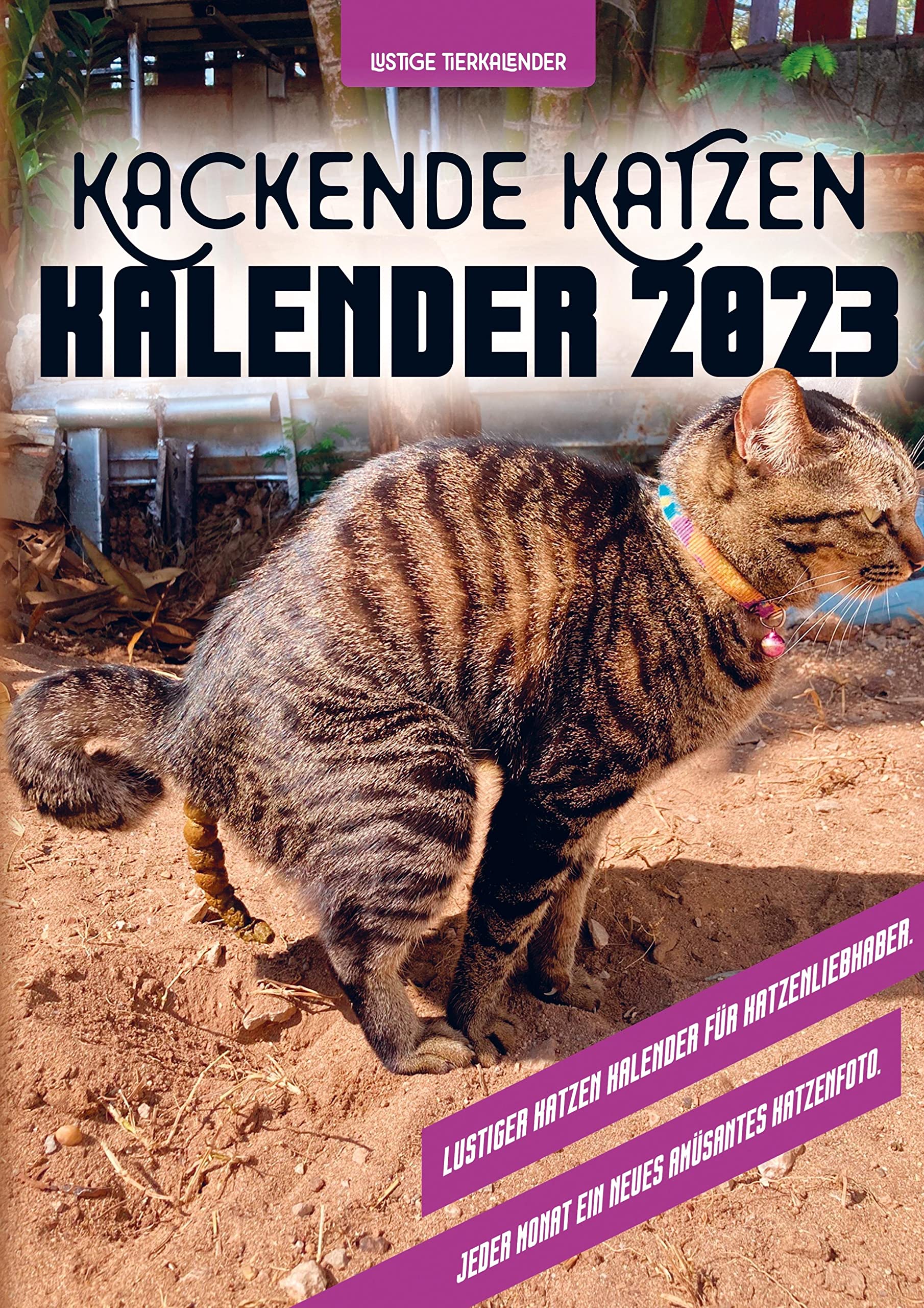 Kackende Katzen Kalender 2023: Lustiger Katzen Kalender für Katzenliebhaber. Jeden Monat ein neues amüsantes Katzenfotos Humour & Satire