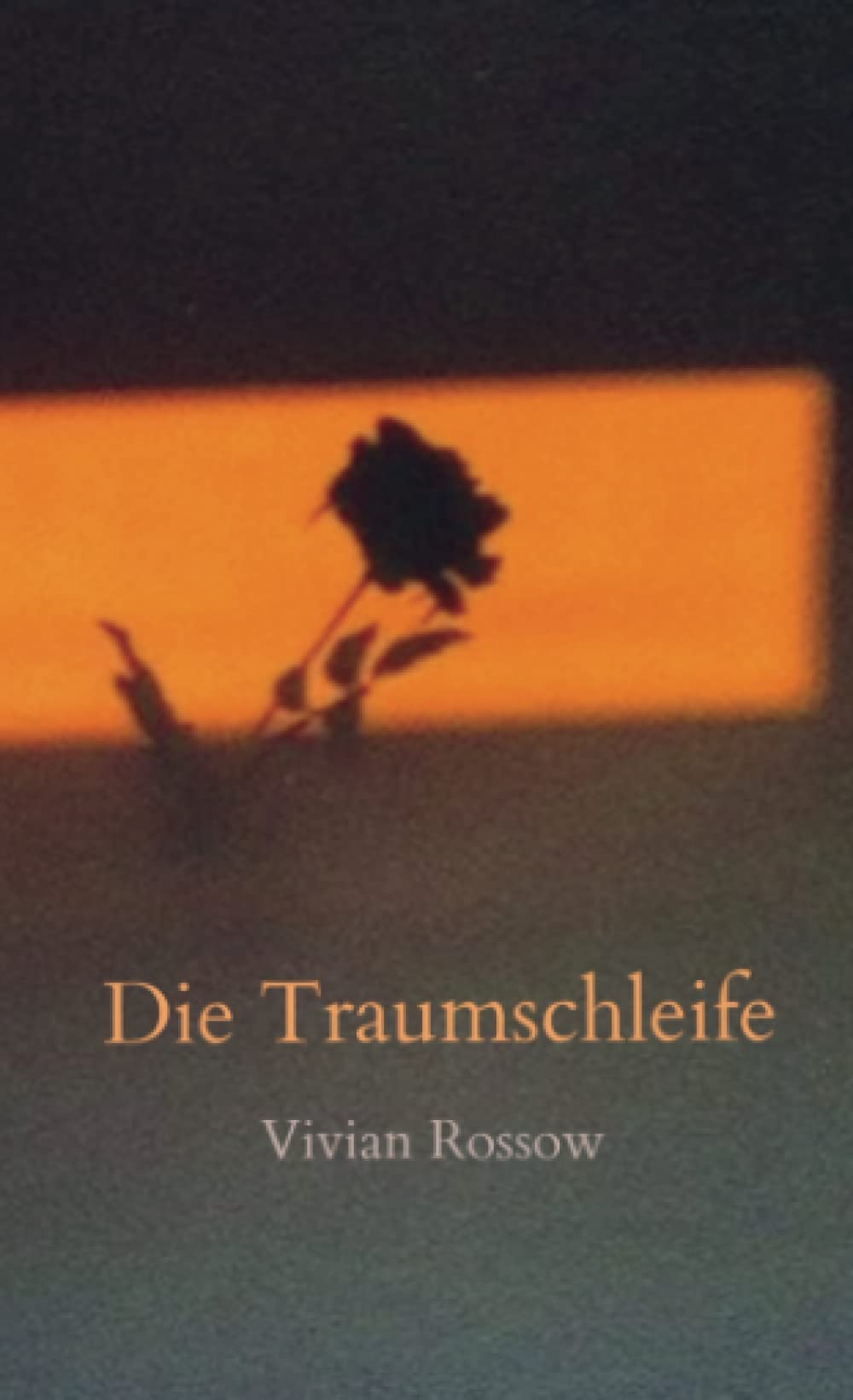 Product Image: Die Traumschleife