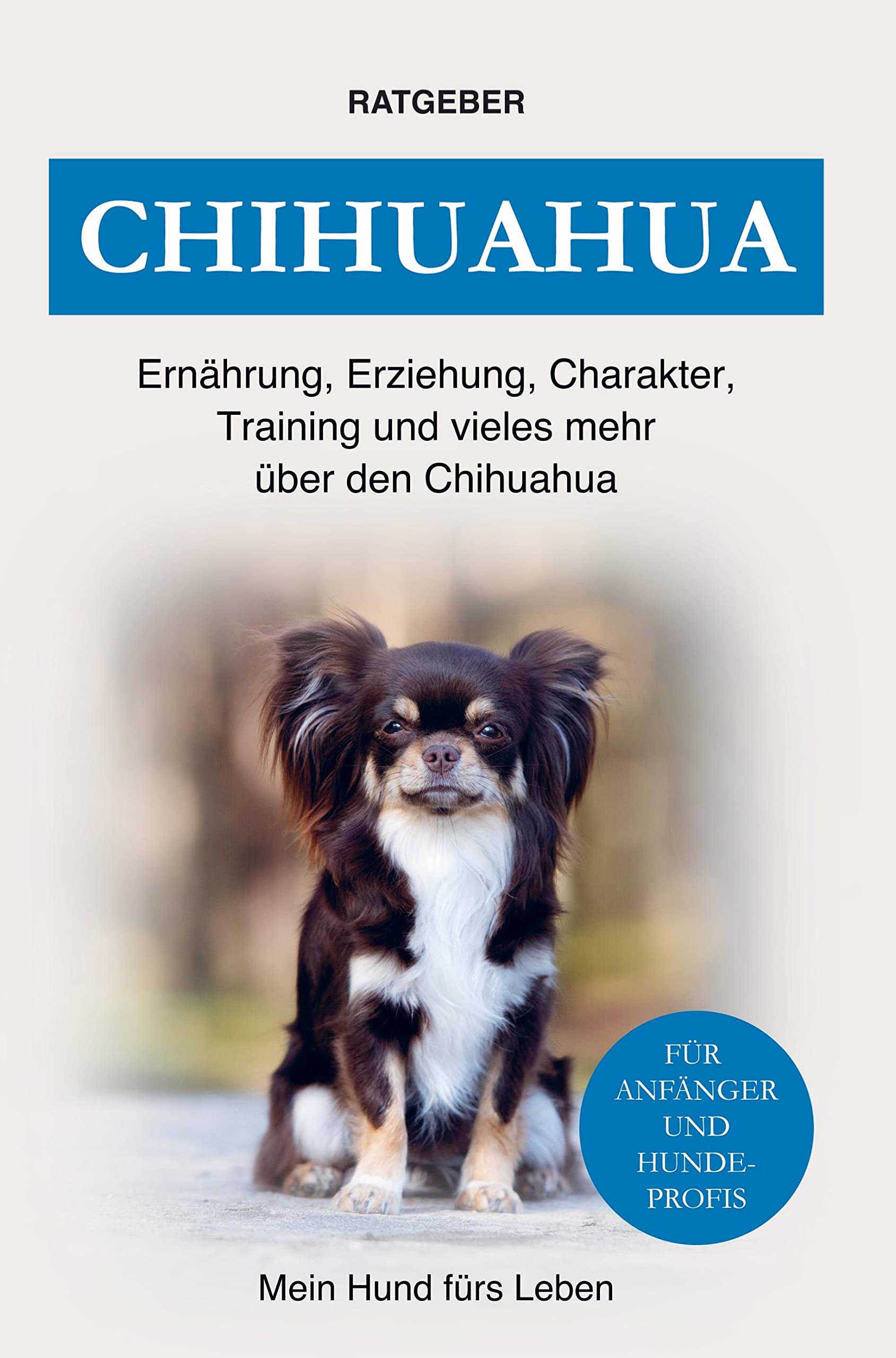 Chihuahua Pets