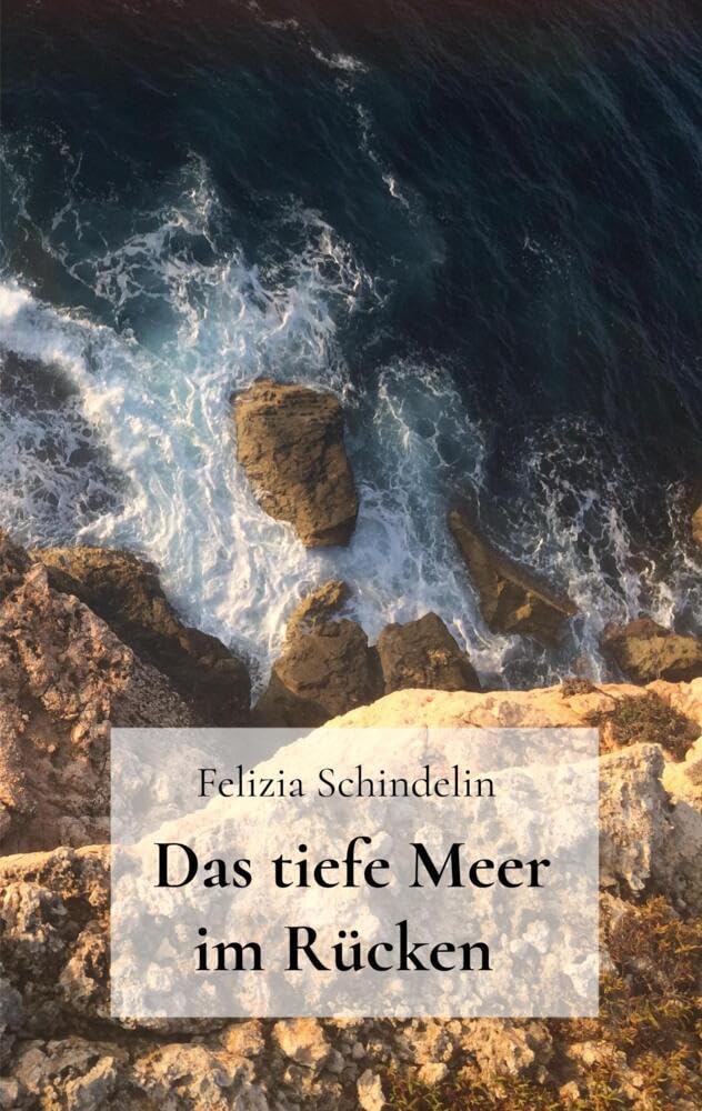 Das tiefe Meer im Rücken Contemporary literature