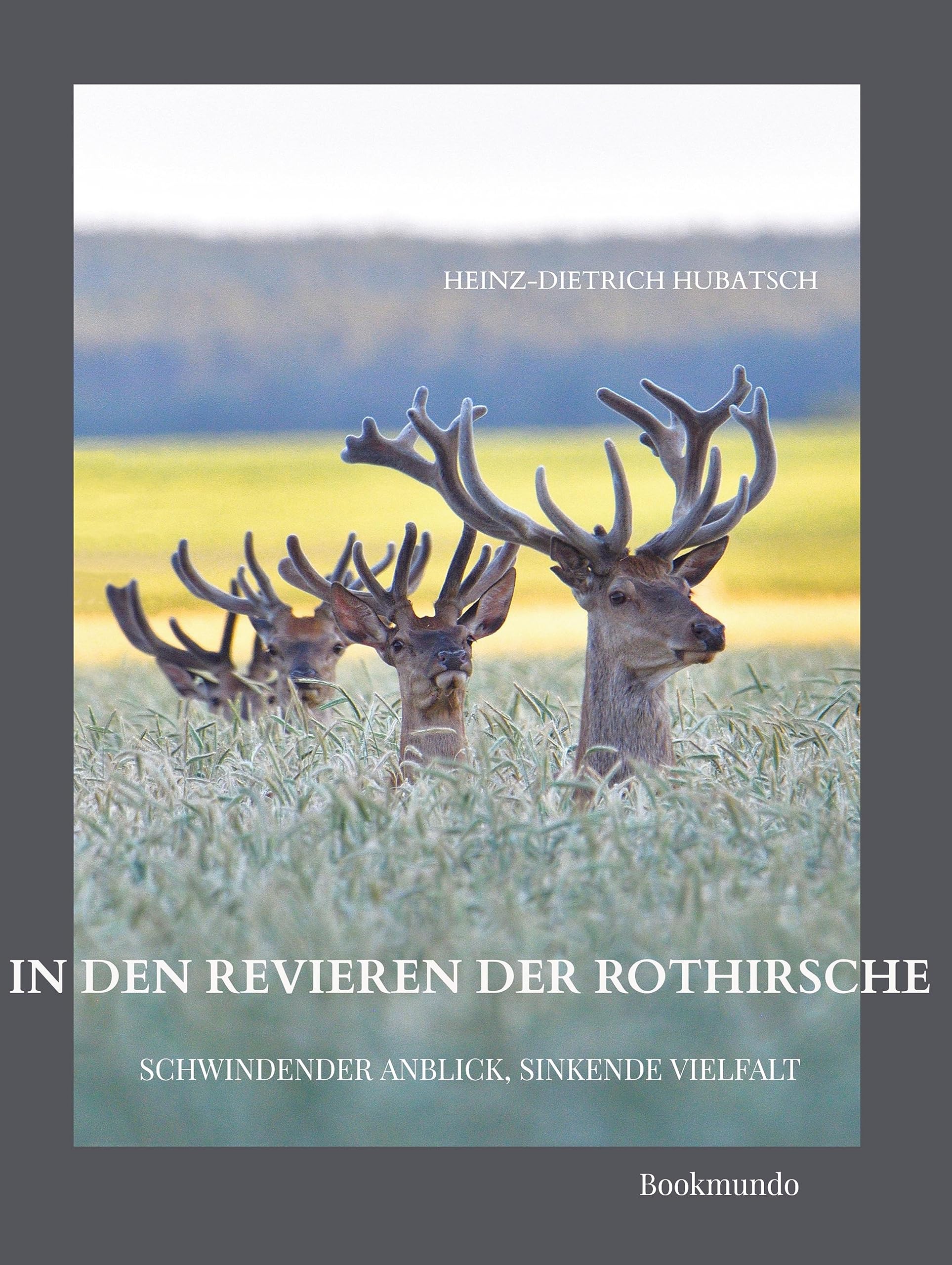 In den Revieren der Rothirsche: Schwindender Anblick, sinkende Vielfalt Leisure, Home & Garden