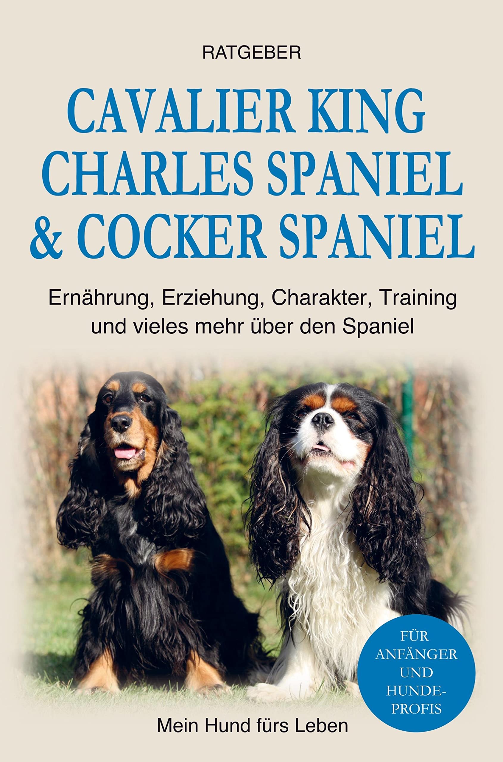 Cocker Spaniel & Cavalier King Charles Spaniel Pets