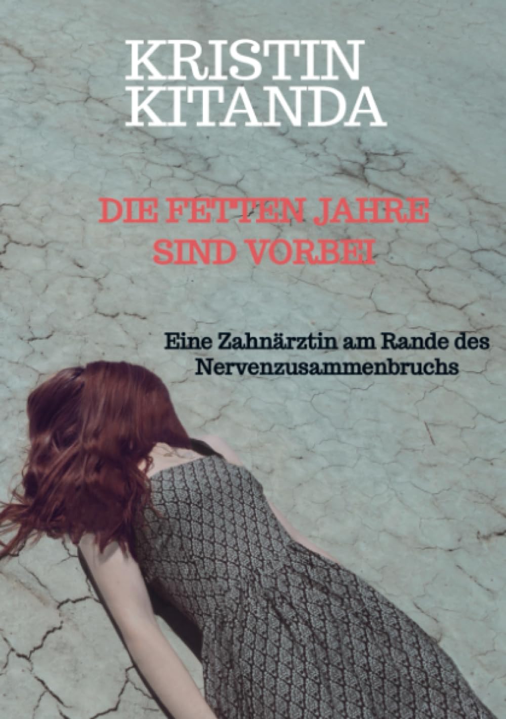 Die fetten Jahre sind vorbei book
