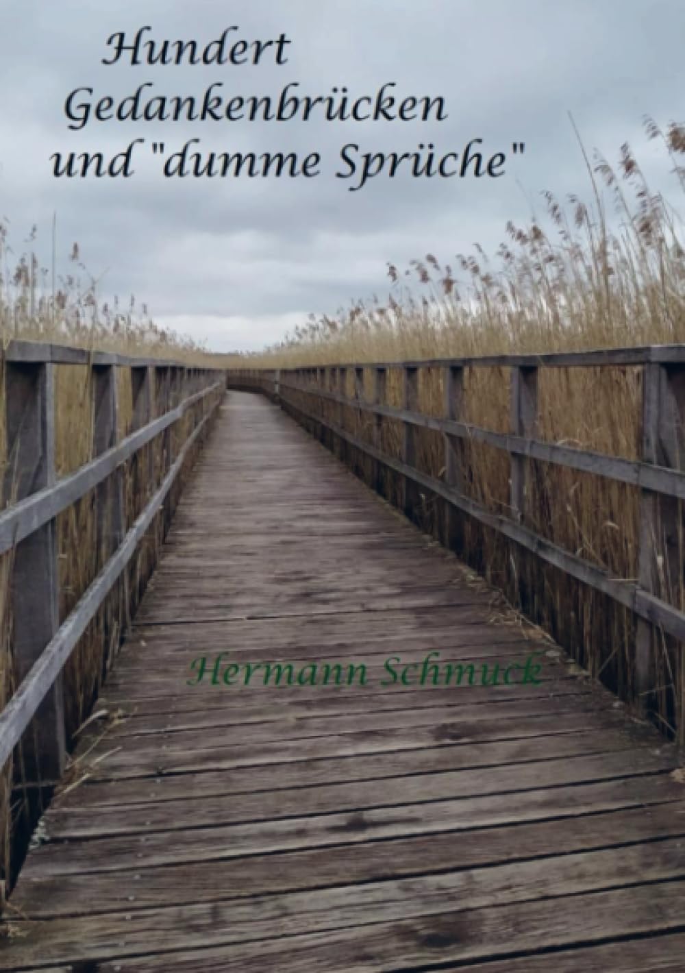 Hundert Gedankenbrücken und "dumme Sprüche" Poetry
