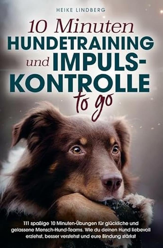 10 Minuten Hundetraining Pets