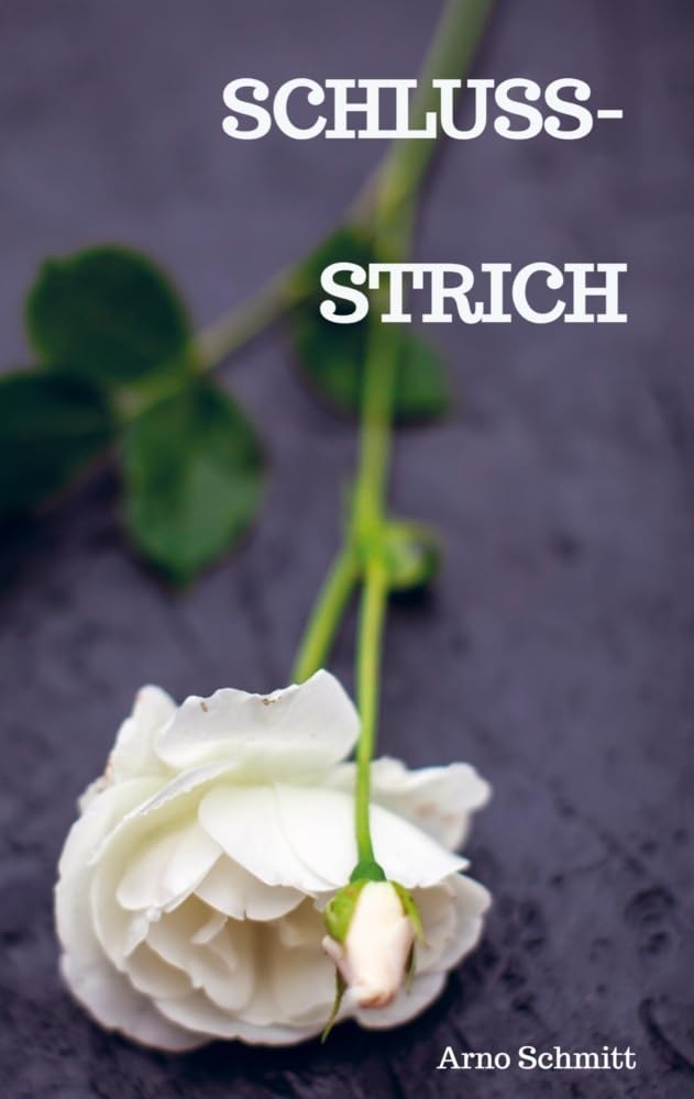 Schlussstrich Contemporary literature
