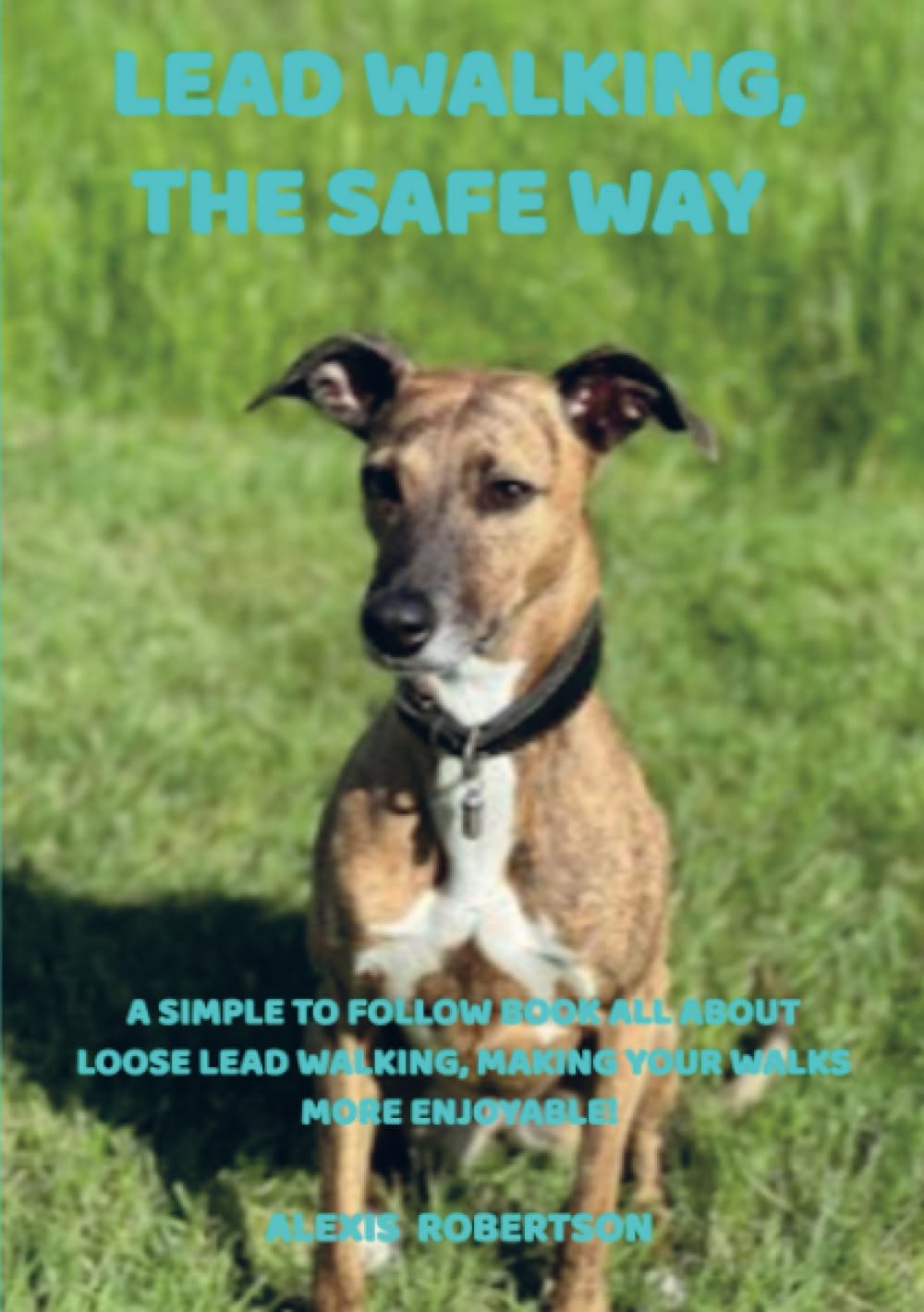Lead walking, the safe way: A simple to follow book all about loose lead walking, making your walks more enjoyable! Pets