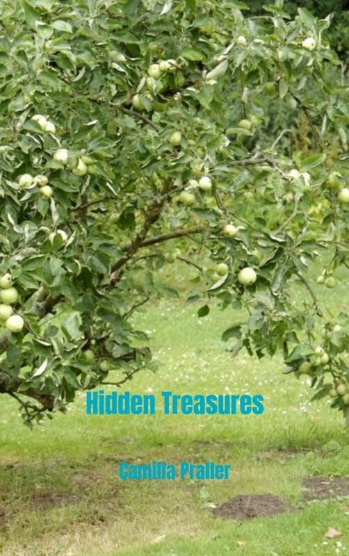 Product Image: Hidden Treasures