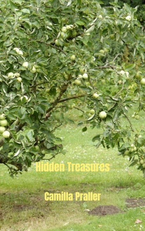 Product Image: Hidden Treasures