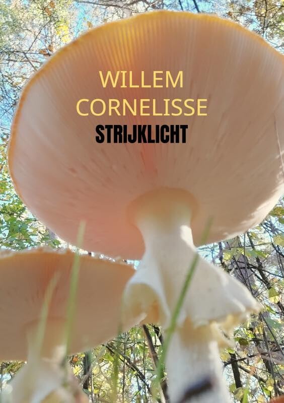 Strijklicht Poetry