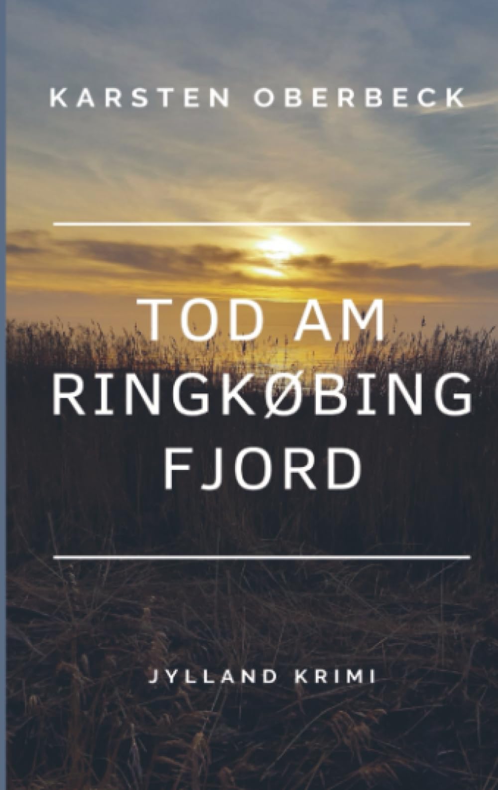 Tod am Ringkøbing Fjord: Jylland-Krimi book