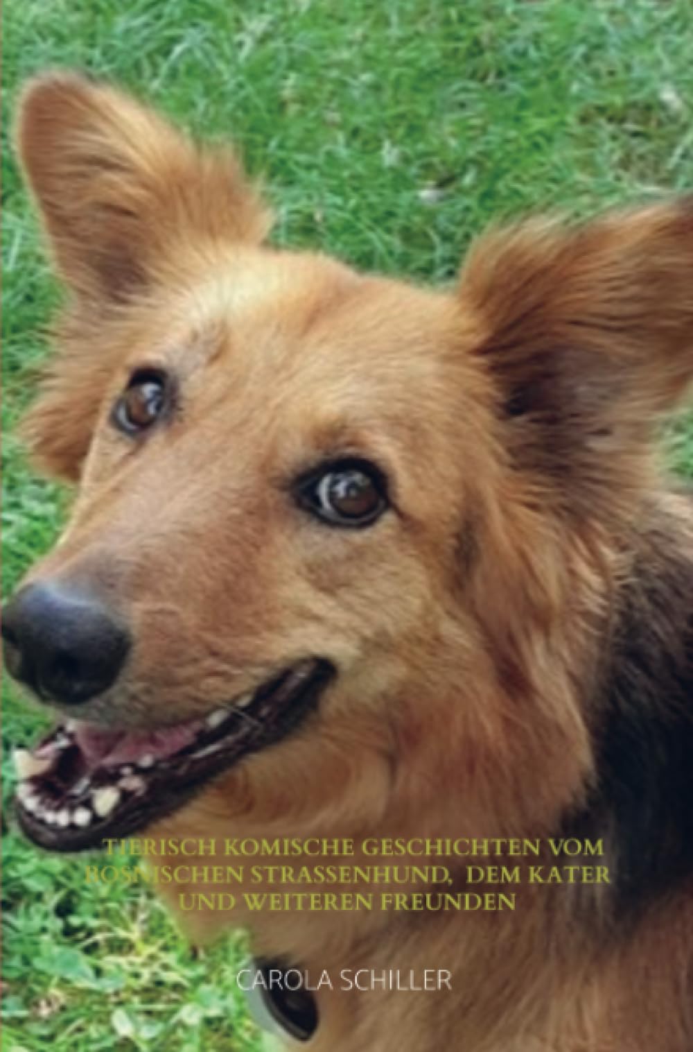Tierisch komische Geschichten vom Bosnischen Straßenhund, dem Kater und weiteren Freunden Contemporary literature