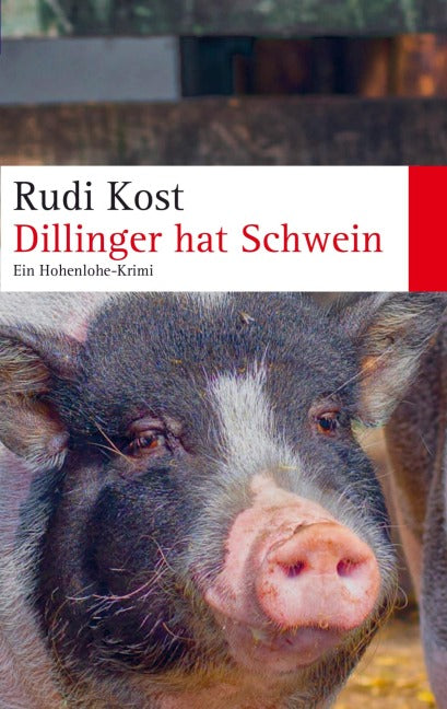 Product Image: Dillinger hat Schwein