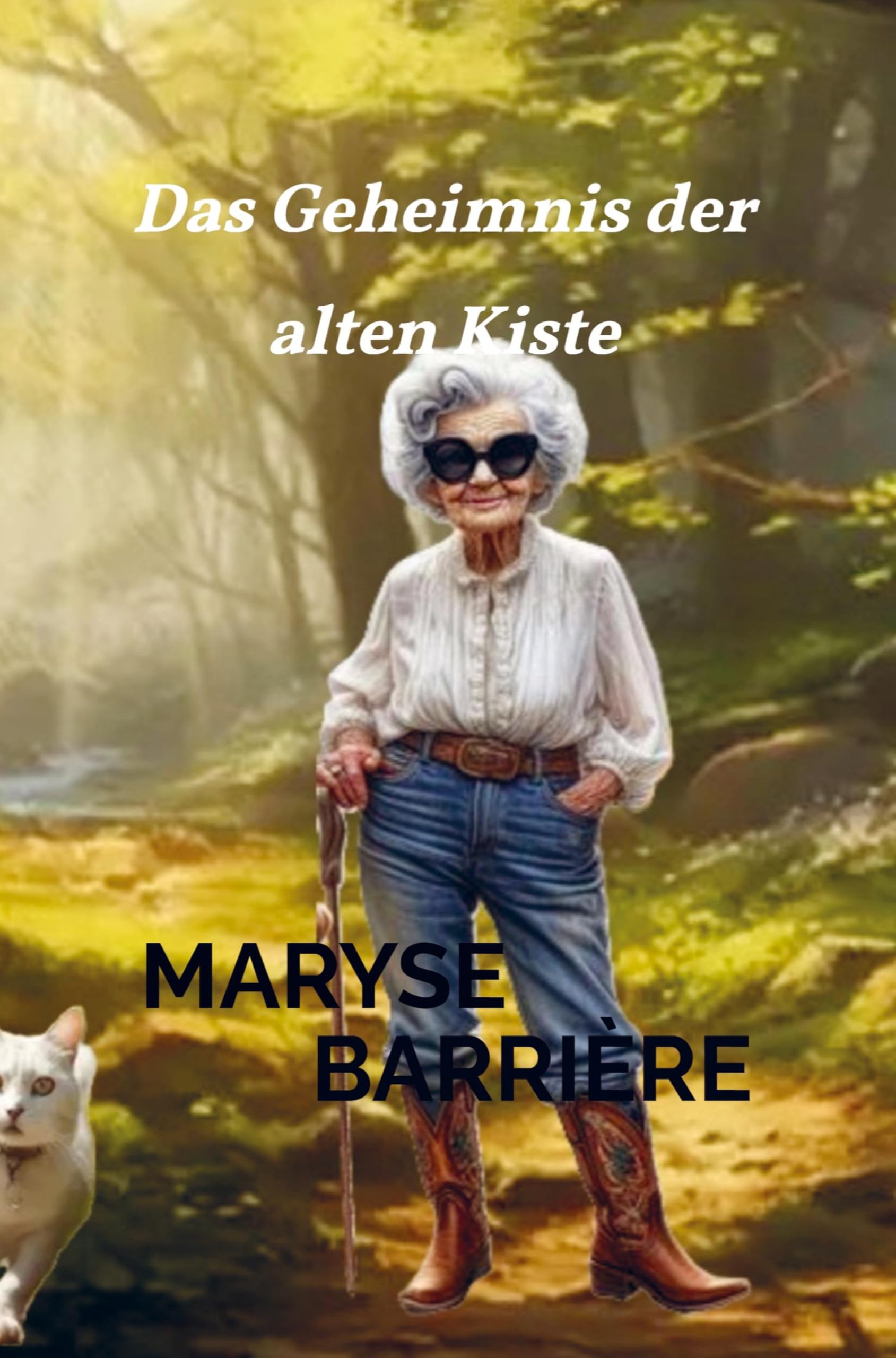 Das Geheimnis der alten Kiste Historical Fiction