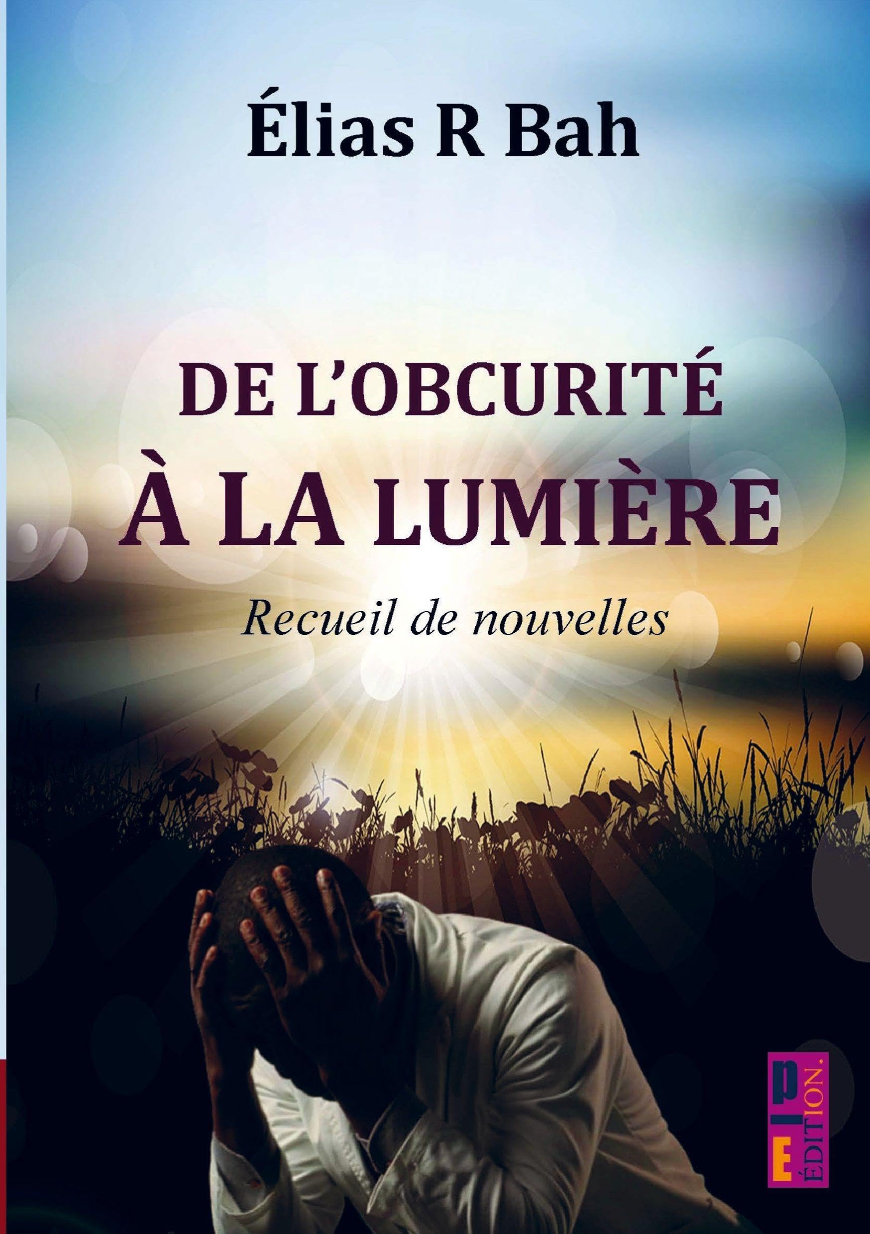De l'obscurité à la lumière: Recueil de nouvelles Contemporary literature