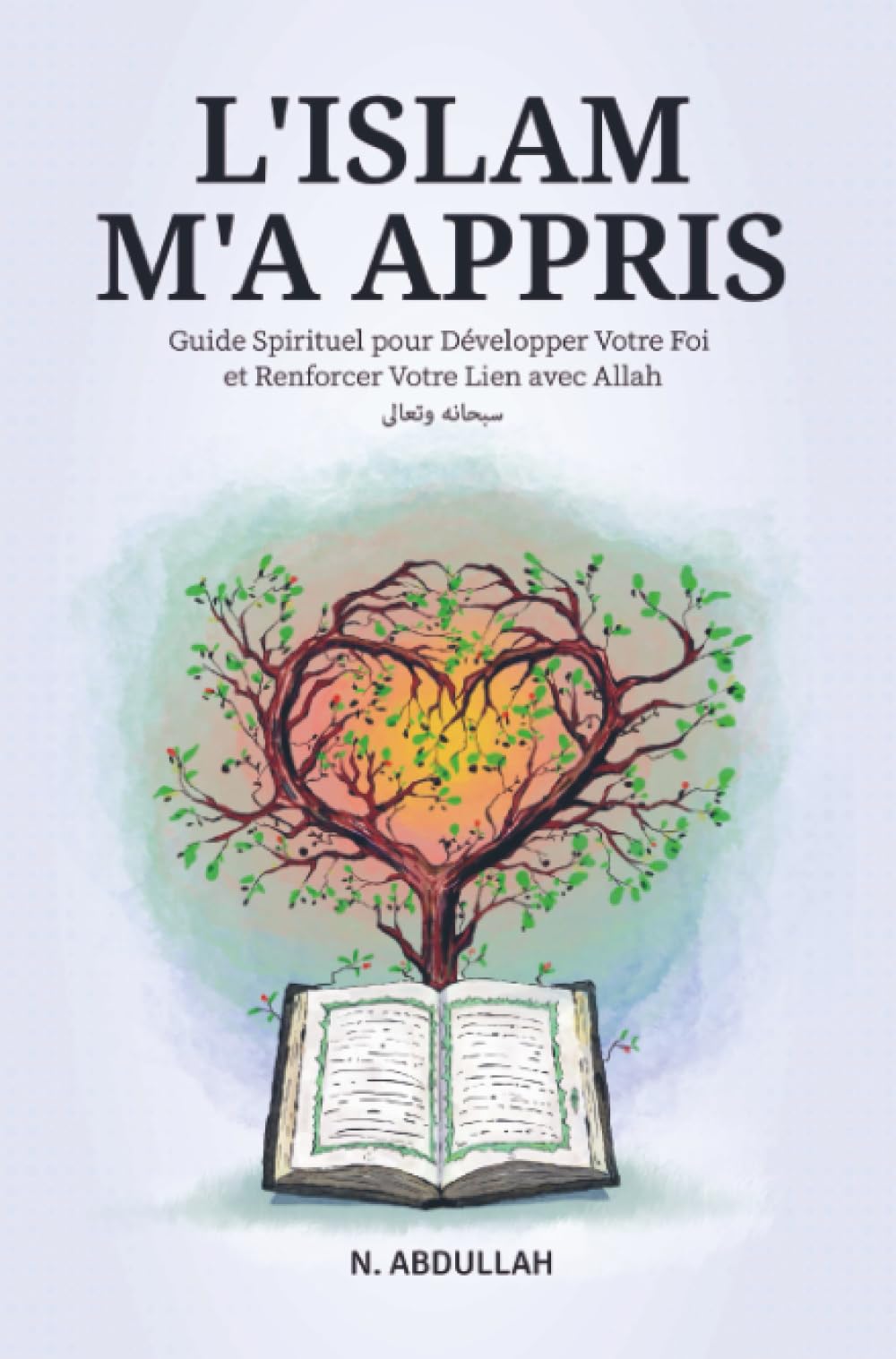 L'Islam M'a Appris: Guide Spirituel pour Développer Votre Foi et Renforcer Votre Lien avec Allah (SWT) book