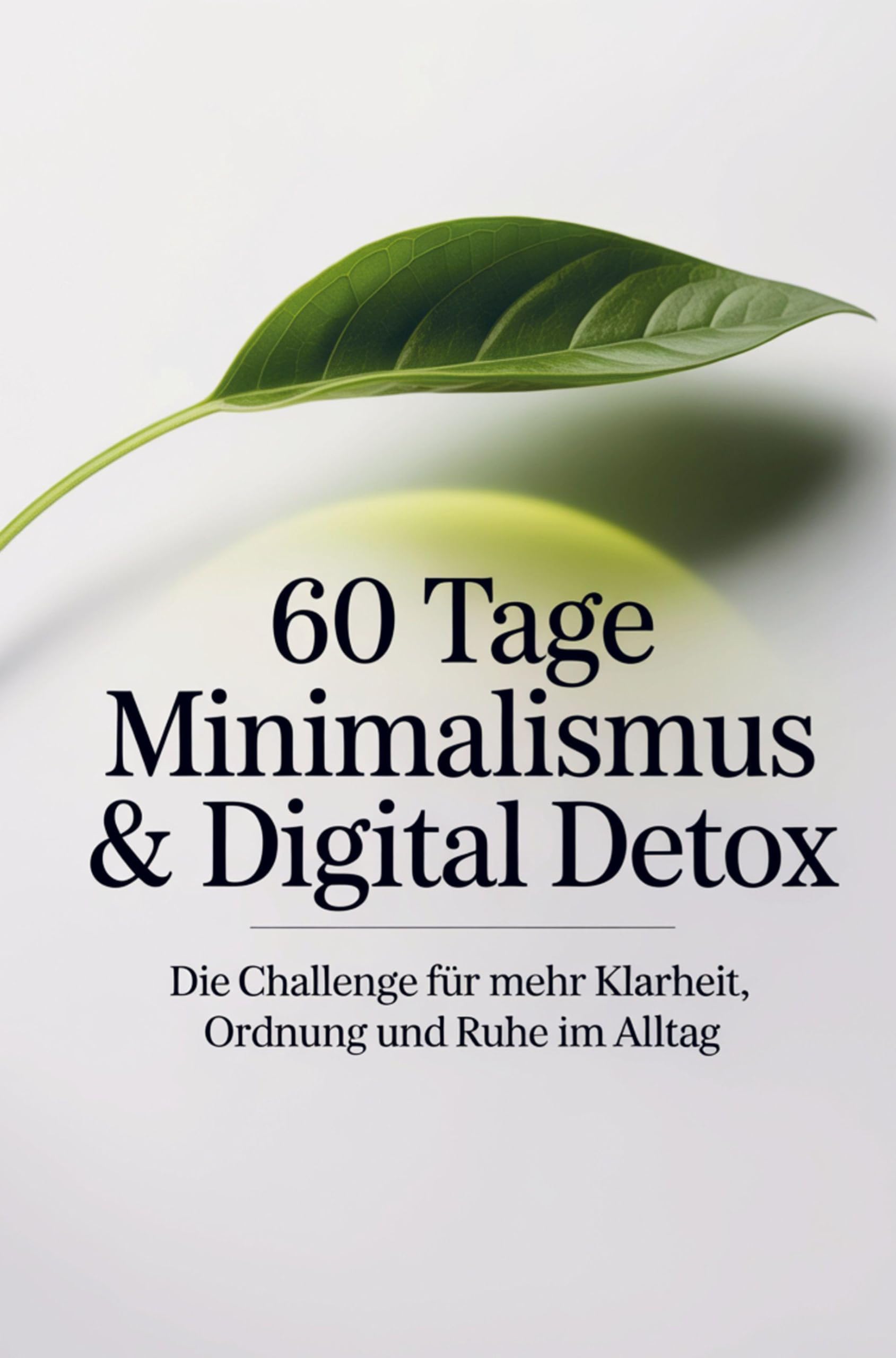 60 Tage Minimalismus & Digital Detox - Die Challenge für mehr Klarheit, Ordnung und Ruhe im Alltag Psychology