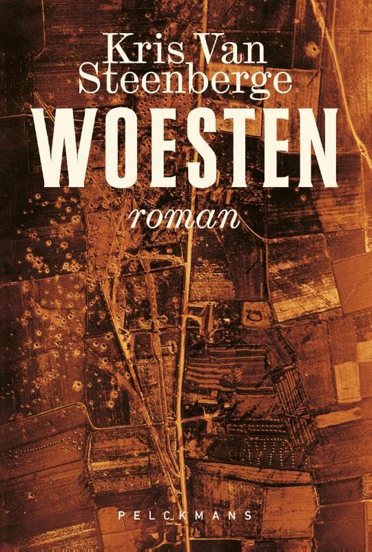 Woesten: roman Contemporary literature