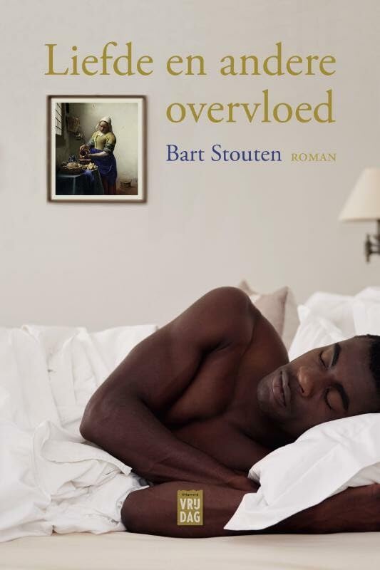 Liefde en andere overvloed: roman book