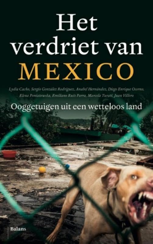 Het verdriet van Mexico: ooggetuigen uit een wetteloos land book