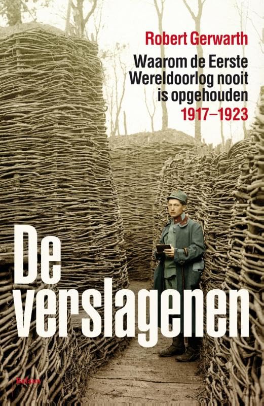 De verslagenen: waarom de Eerste Wereldoorlog nooit is opgehouden 1917-1923 book