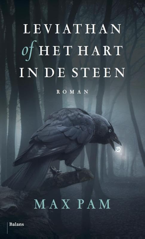 Leviathan, of Het hart in de steen: roman book