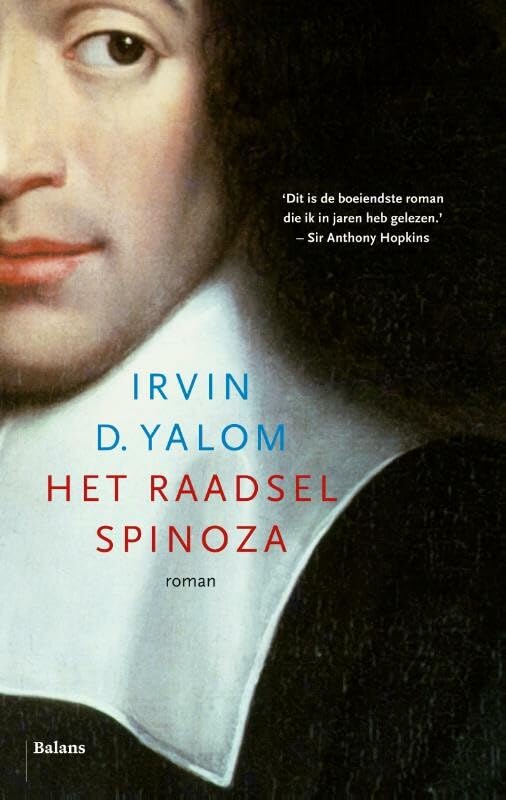 Het raadsel Spinoza: roman book