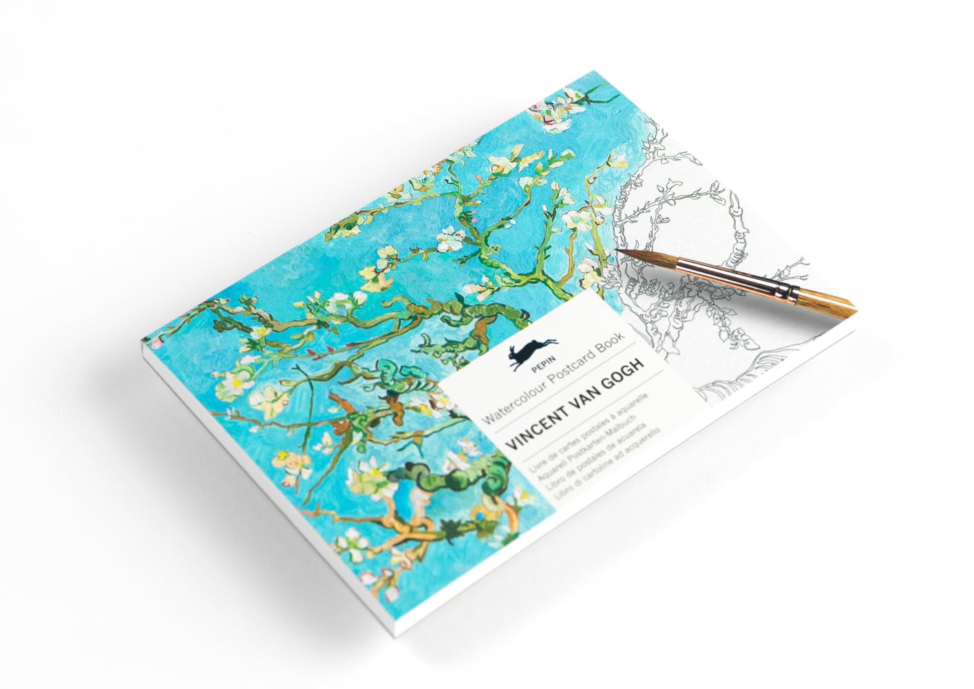 Vincent van Gogh: Watercolour Postcard Book / Postkarten - Malbuch (Watercolour Postcard Books) Film, Art & Culture