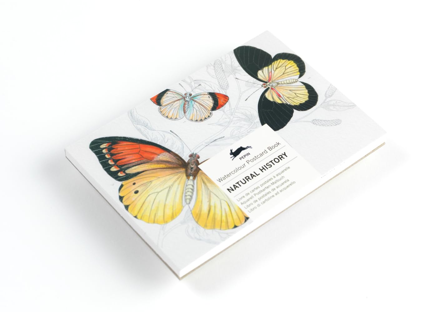 Natural History: Watercolour Postcard Book / Postkarten - Malbuch (Watercolour Postcard Books) Film, Art & Culture