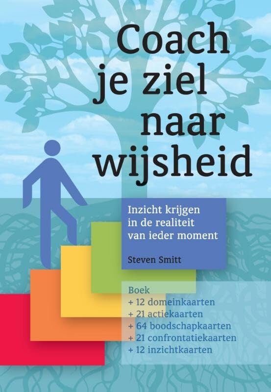 Coach je ziel naar wijsheid: inzicht krijgen in de realiteit van ieder moment book