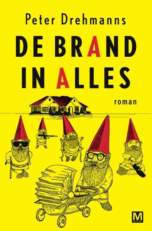 De brand in alles: roman book