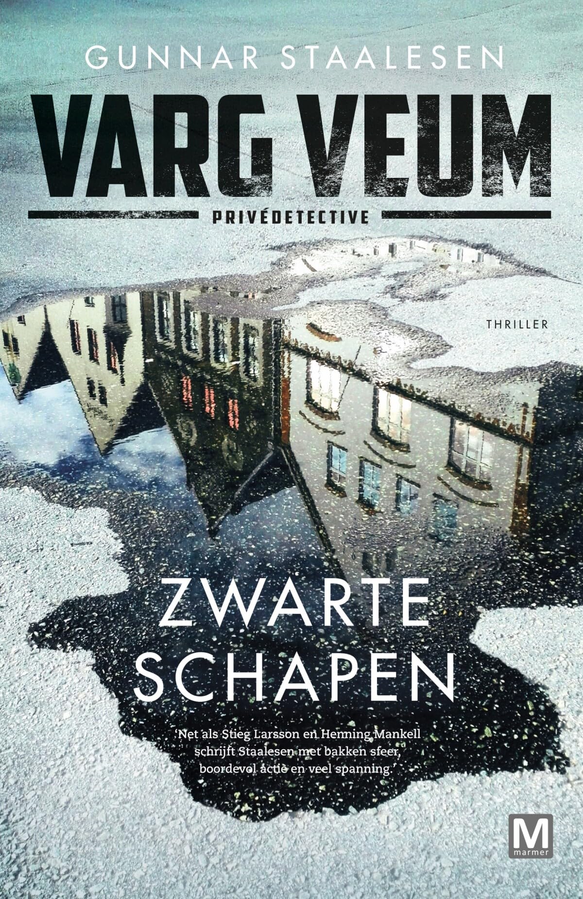 Zwarte schapen: thriller book