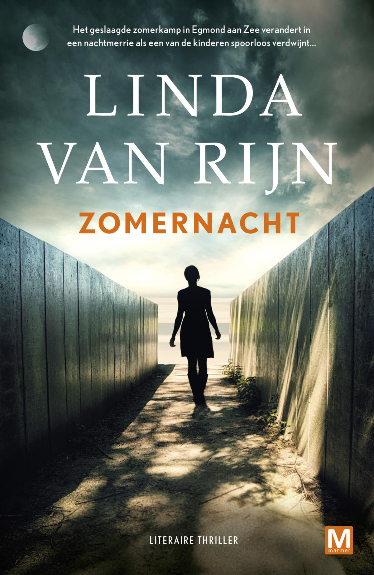 Zomernacht: literaire thriller book