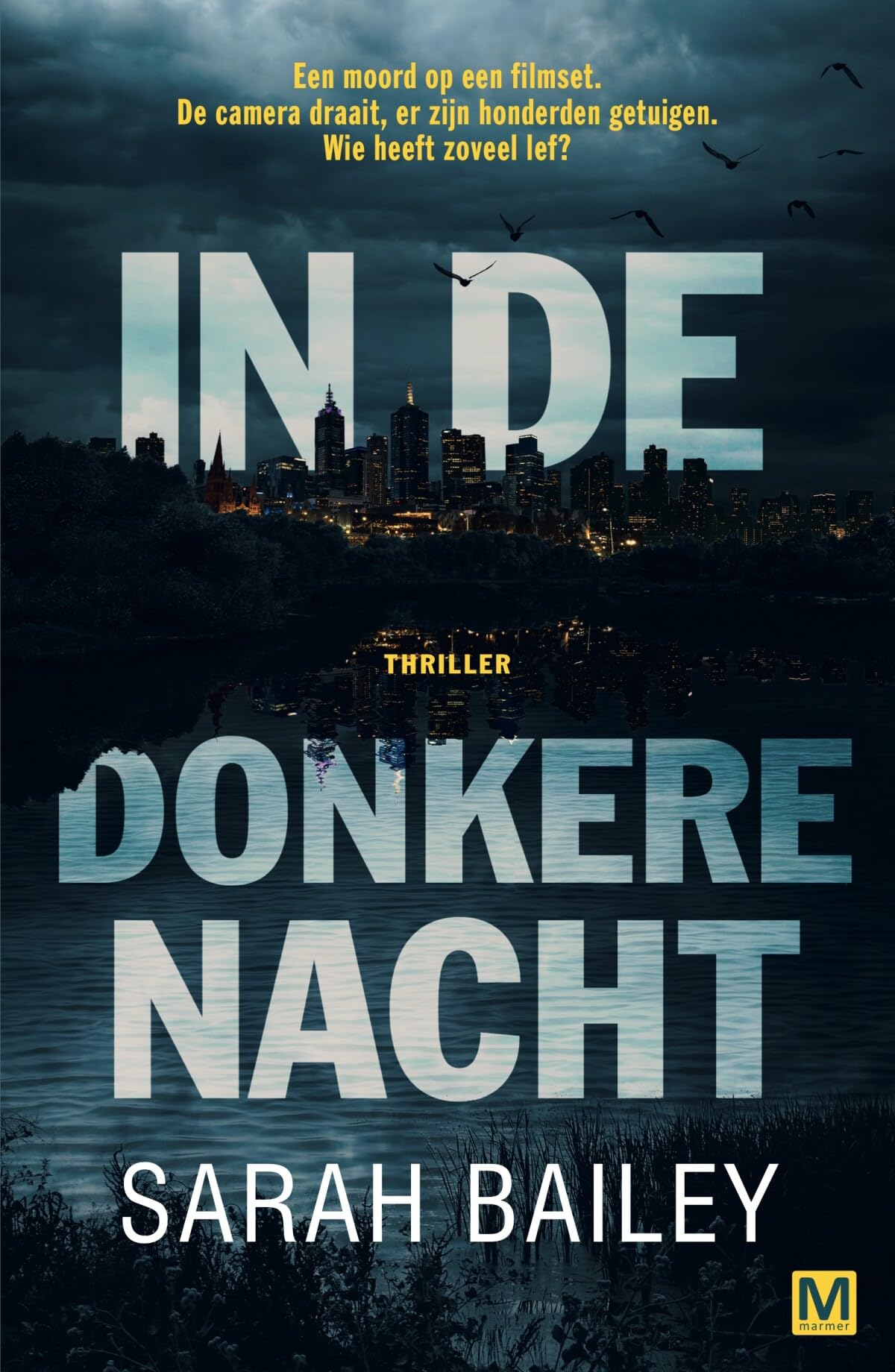 In de donkere nacht: thriller book