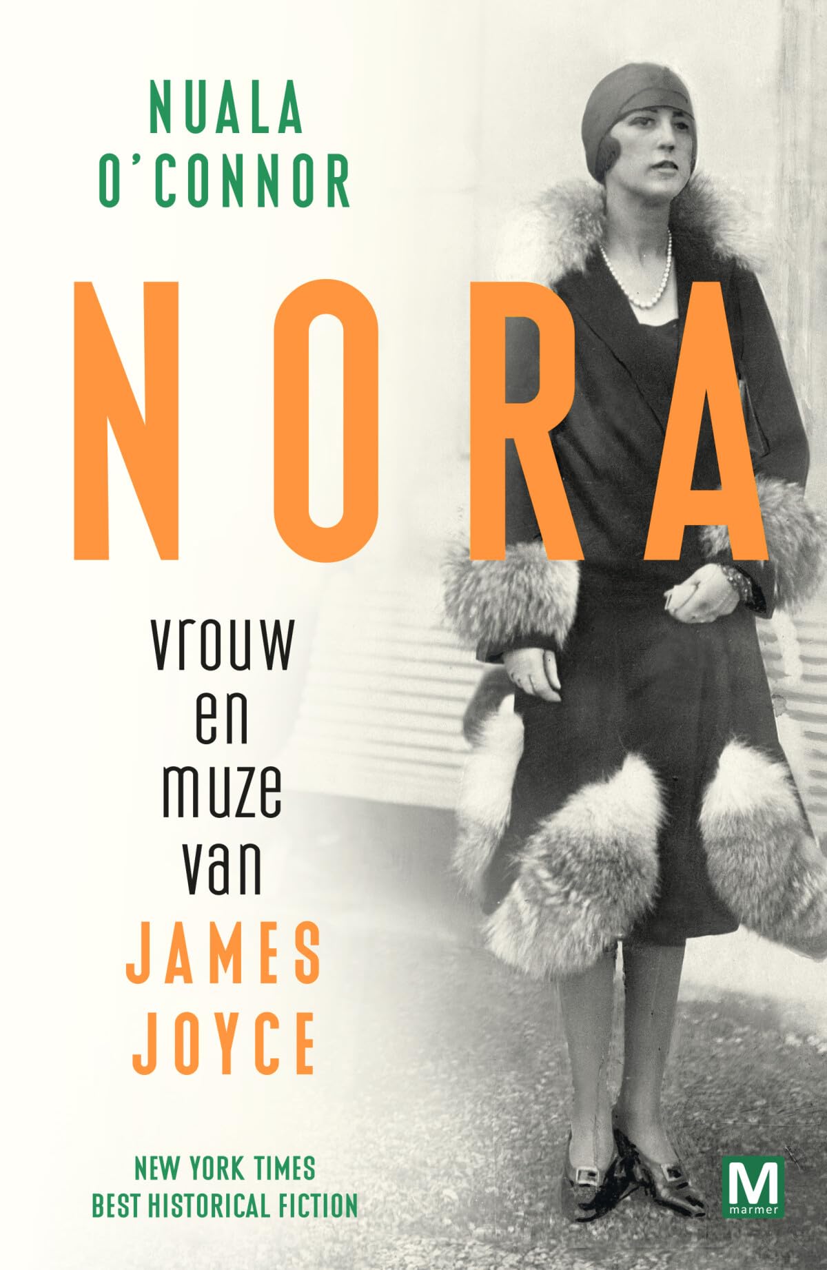 Nora, vrouw en muze van James Joyce book