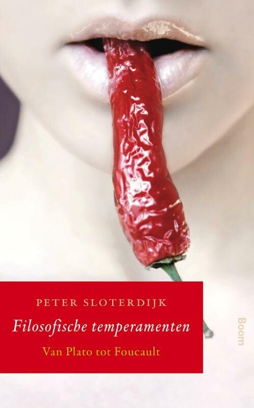 Filosofische temperamenten: van Plato tot Foucault book