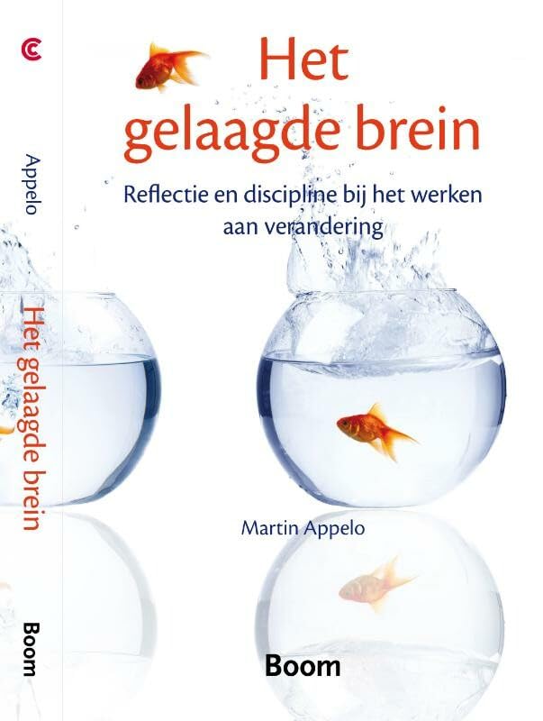 Het gelaagde brein: reflectie en discipline bij het werken aan verandering book