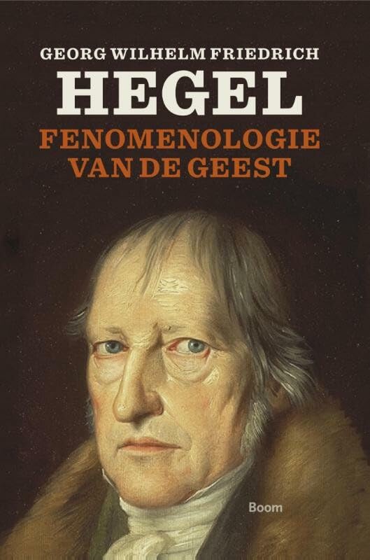 Fenomenologie van de geest book