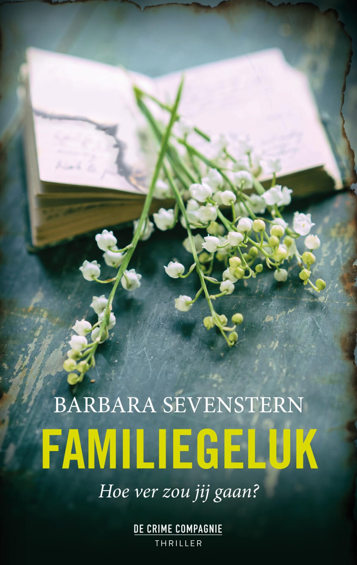 Familiegeluk: Hoe ver zou jij gaan? (Crème de la crime) book