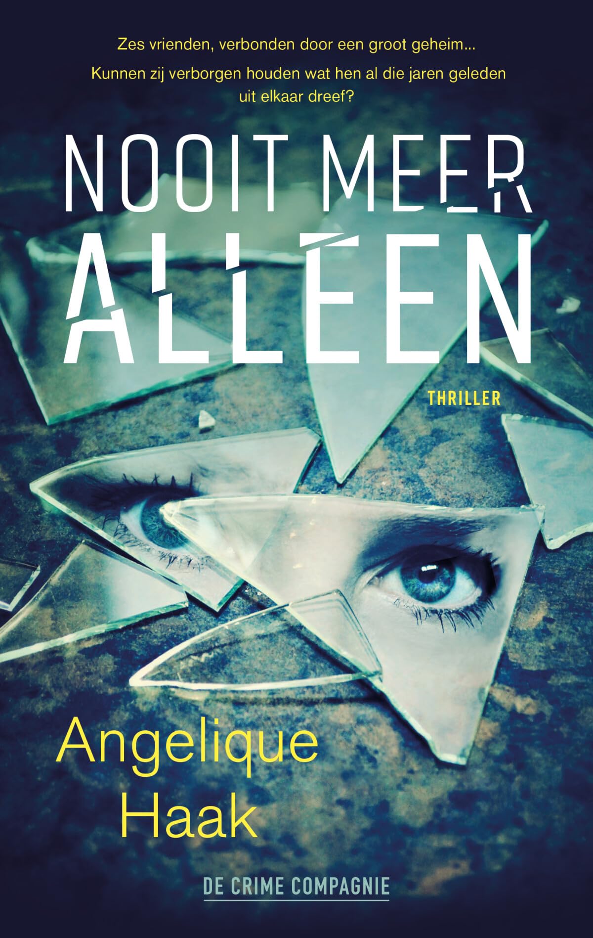 Nooit meer alleen (Crème de la crime) Contemporary literature