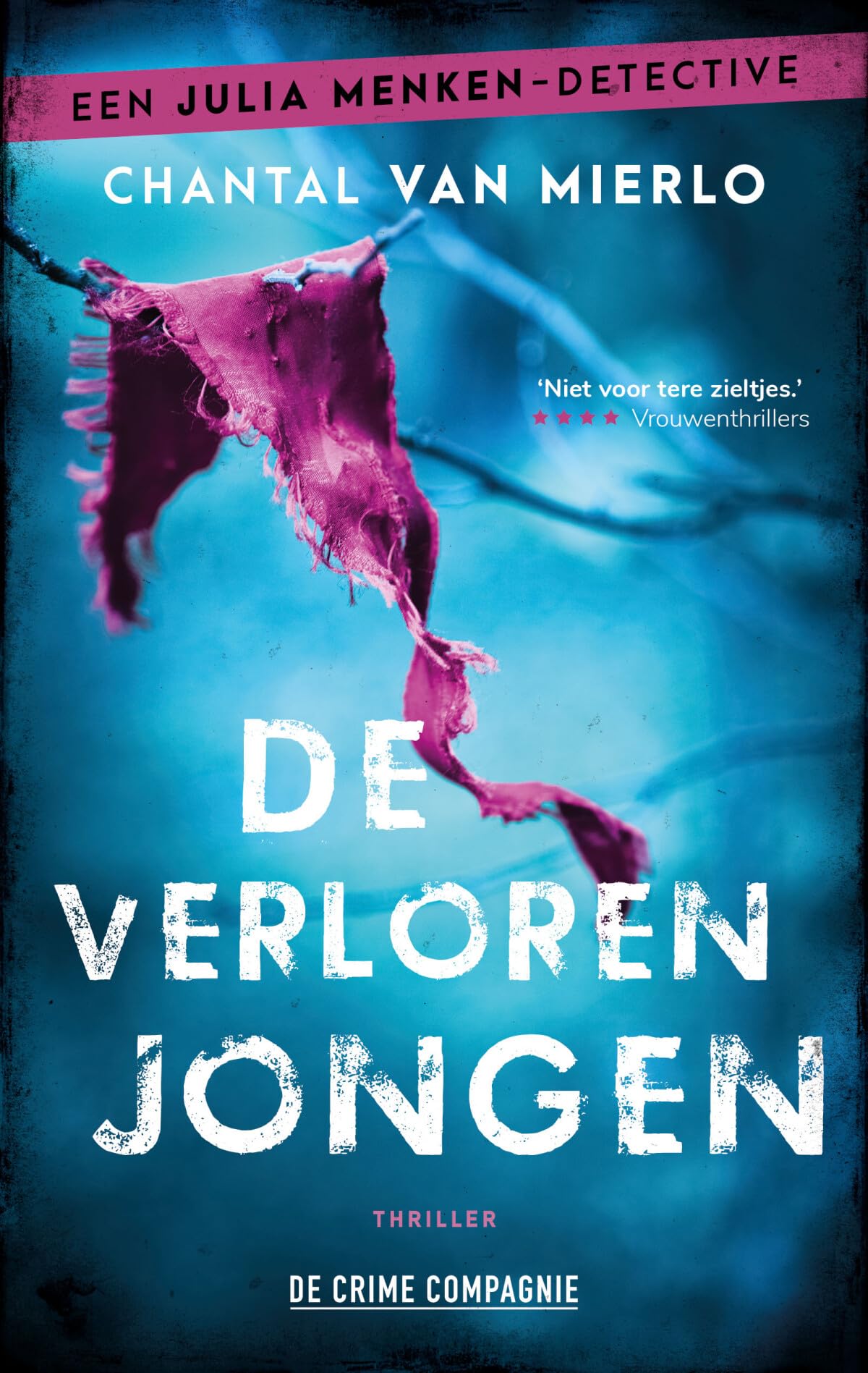 De verloren jongen book