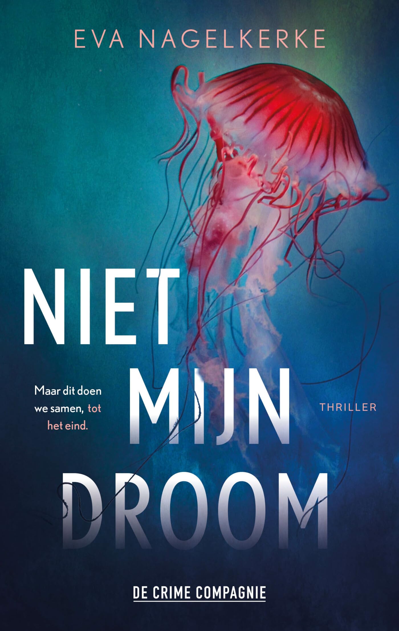 Niet mijn droom book