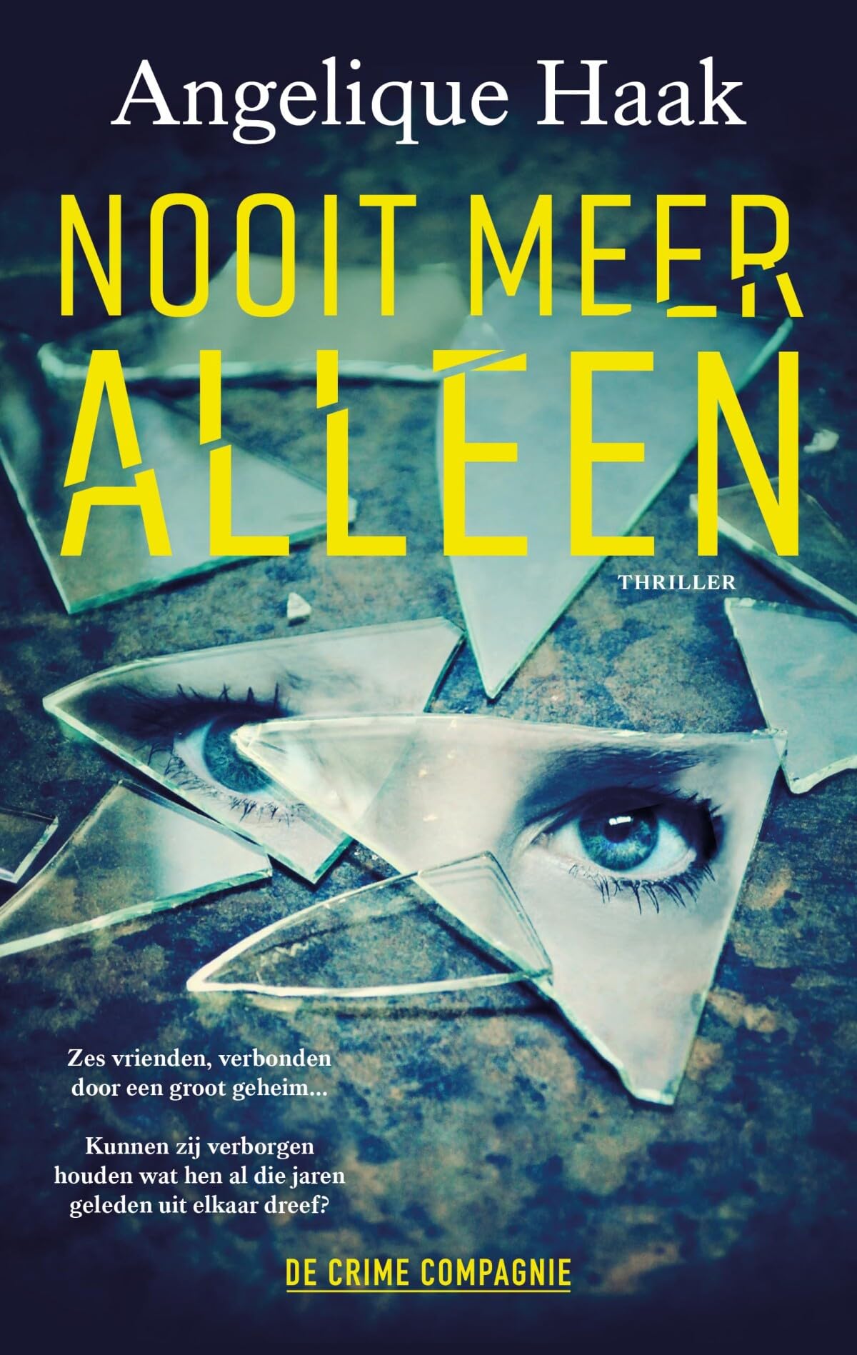 Nooit meer alleen book
